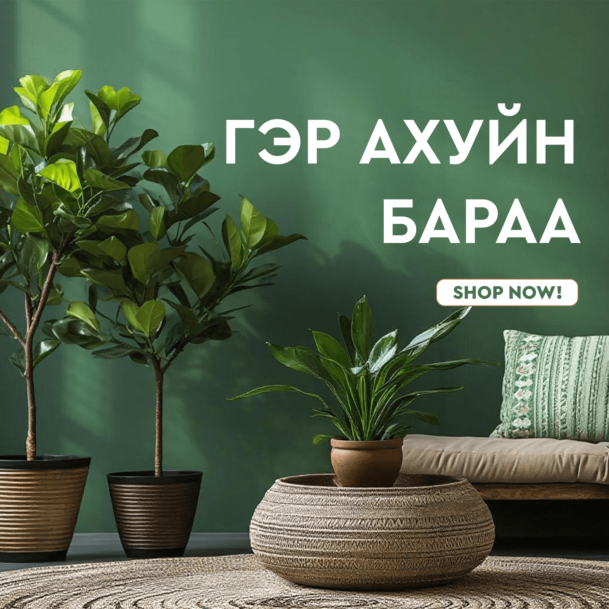 https://buunduu.mn/8634f0545aae5685450c6f530.png